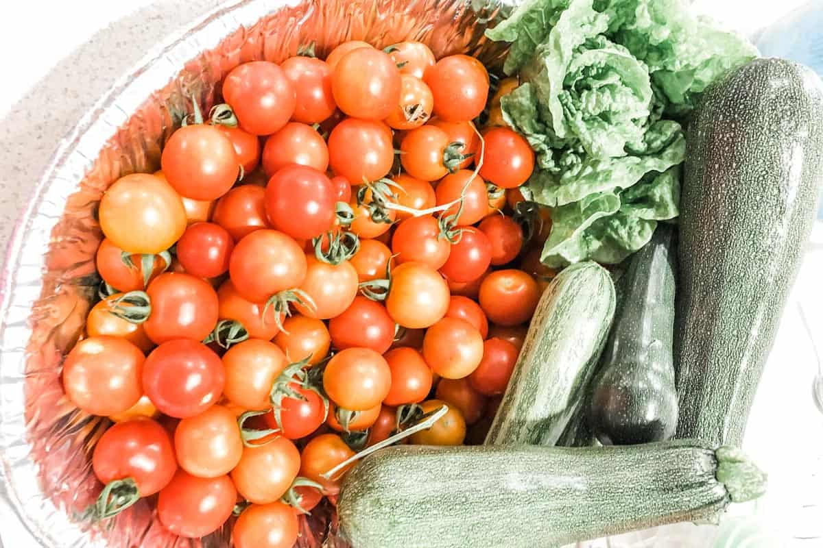 Container full of red cherry tomatoes, zucchini and a lettuce