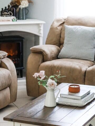Image of neat and tidy living room with coffee table, books, candle, vase of roses, cushions, fireplace