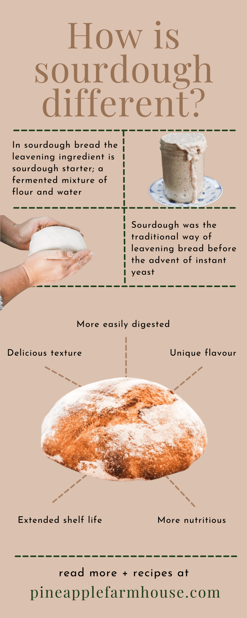 Infographic showing a picture of sourdough starter, a ball of dough being shaped by two hands and a loaf of sourdough bread titled 'how is sourdough different' to show What makes sourdough bread different