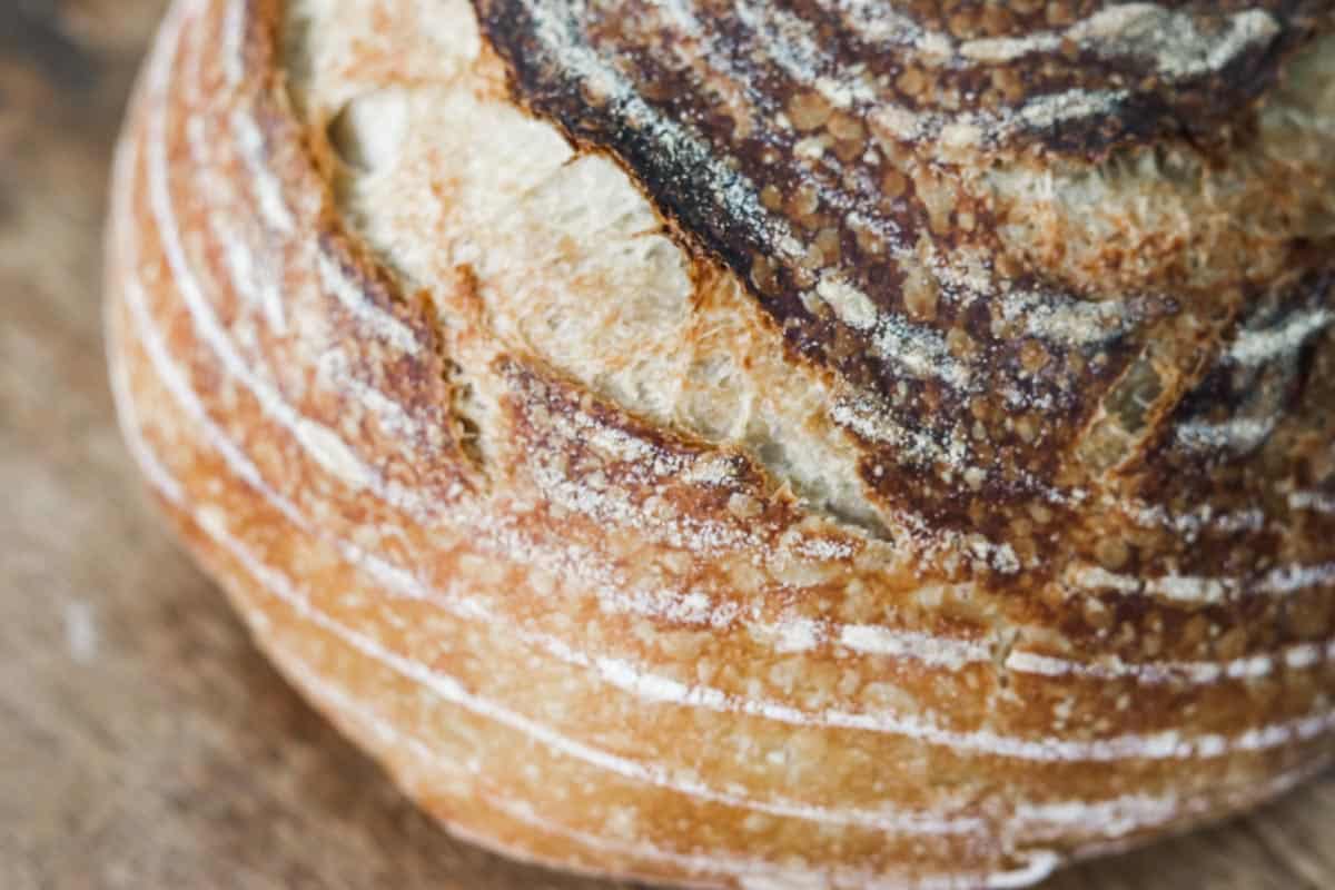Close up image of a round loaf of sourdough bread