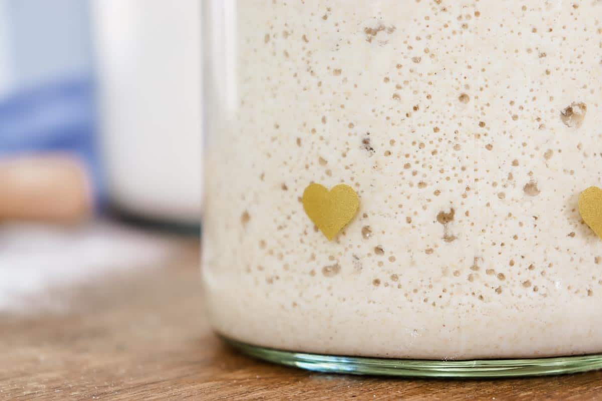 Close up image of a glass jar of sourdough starter showing bubbles