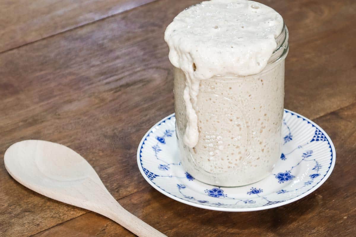 Image of a bubbly active sourdough starter made from scratch on a blue and white plate set on a wooden table top next to a wooden spoon