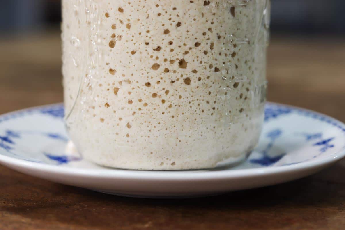 Close up image of the bottom of a glass jar of sourdough starter which shows lots of bubbles in the mixture