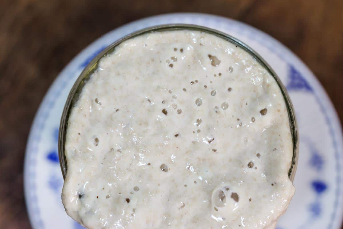 Close up image overhead of a glass jar of sourdough starter which shows lots of bubbles in the mixture