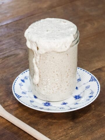 Image of a bubbly active sourdough starter made from scratch on a blue and white plate set on a wooden table top next to a wooden spoon
