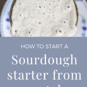 Pinterest graphic showing the top of a jar of bubbly sourdough starter and text 'how to start a sourdough starter from scratch'