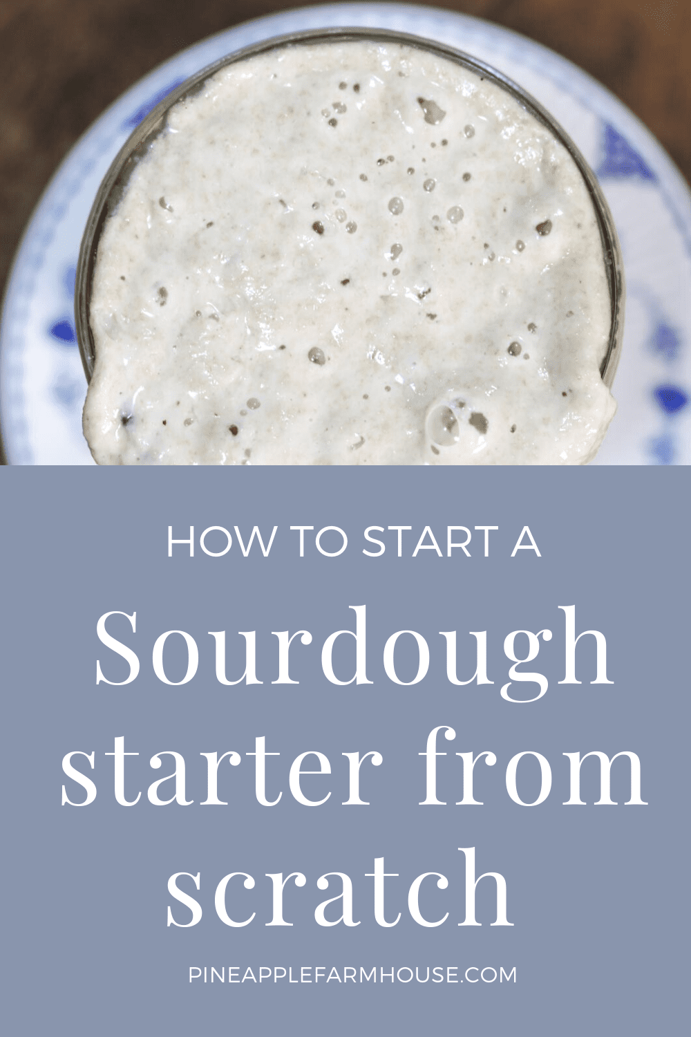 How to start a sourdough starter from scratch Pineapple Farmhouse