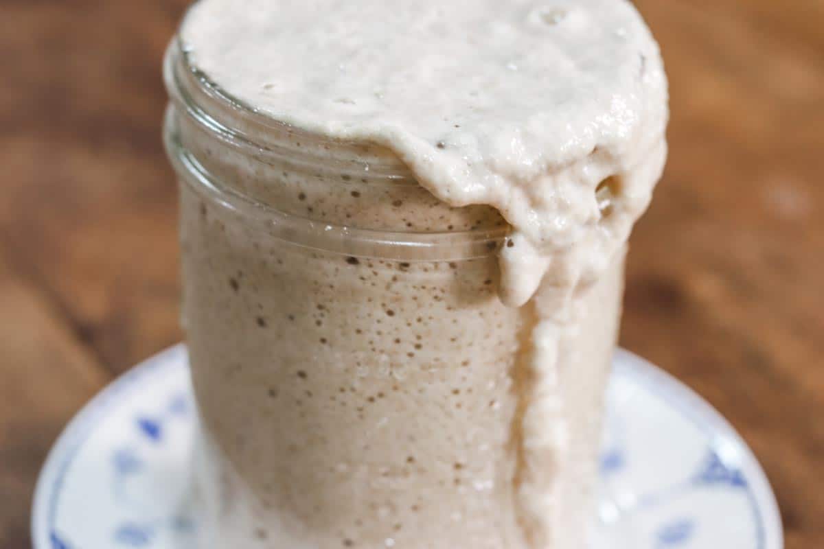 Close up image of a jar of sourdough starter with large bubbles and some starter overflowing down the side used to make sourdough bread different
