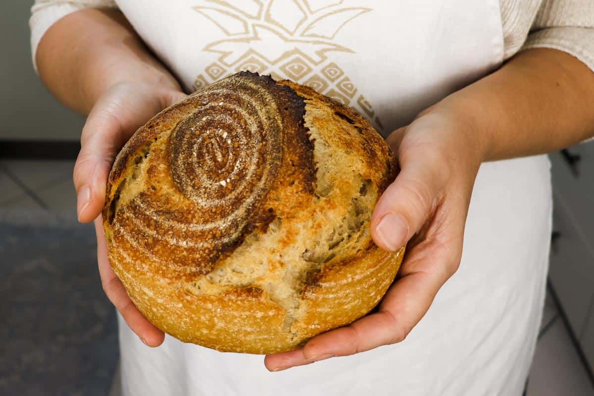 Close up image of a person holding a freshly baked loaf of sourdough bread