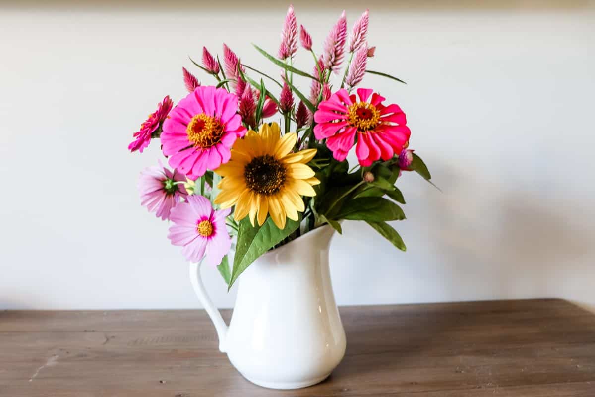 Arrangement of cut flowers in a vase including yellow sunflower, pink cosmos, pink zinnia and pink celosia