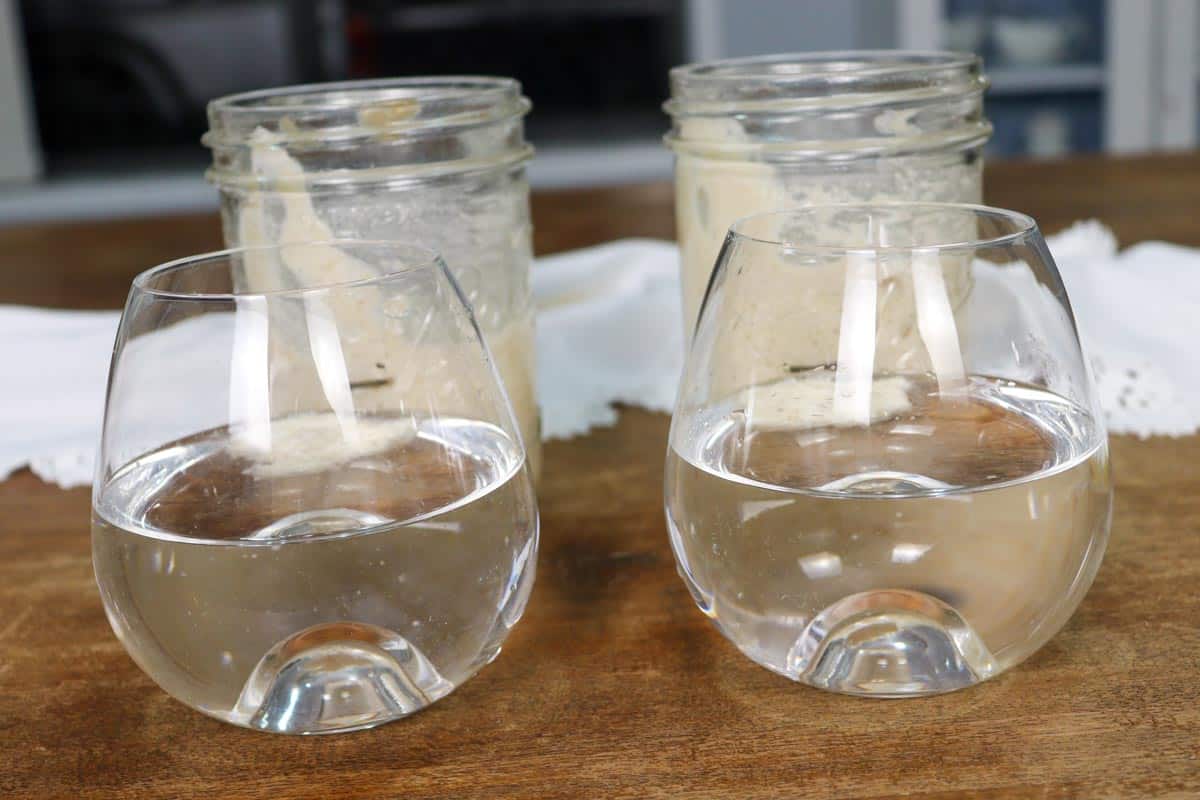 Two glasses of water side by side with a spoon of sourdough starter floating at the top of each