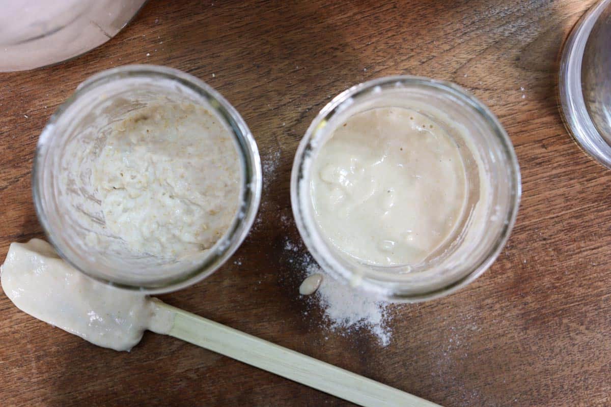 Two jars of freshly mixed flour and water to make sourdough starter; wholemeal/wholewheat flour on the left and plain/all-purpose flour on the right