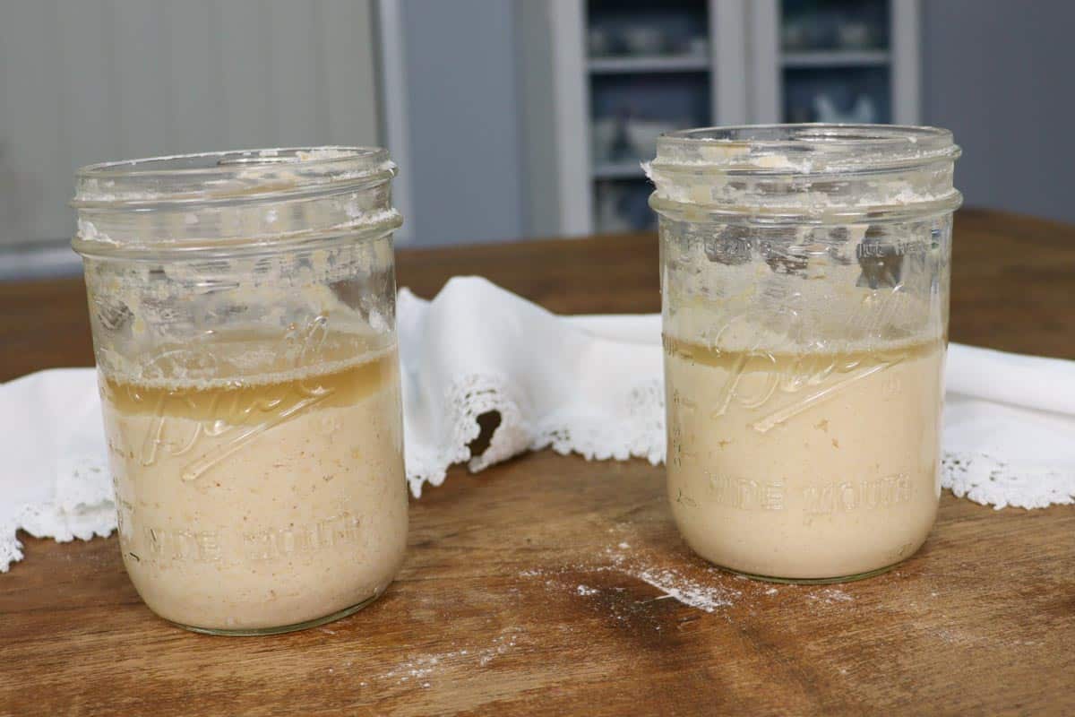 Two jars of sourdough side by side showing a layer of hooch, or liquid, on the top of each