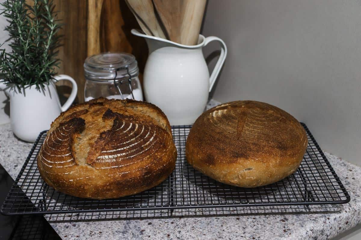 Side by side comparison of two loafs of sourdough bread, one baked in a dutch oven and the other baked without a dutch oven