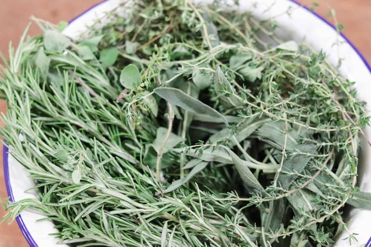 Herbs from the garden in a colander ready to be dried