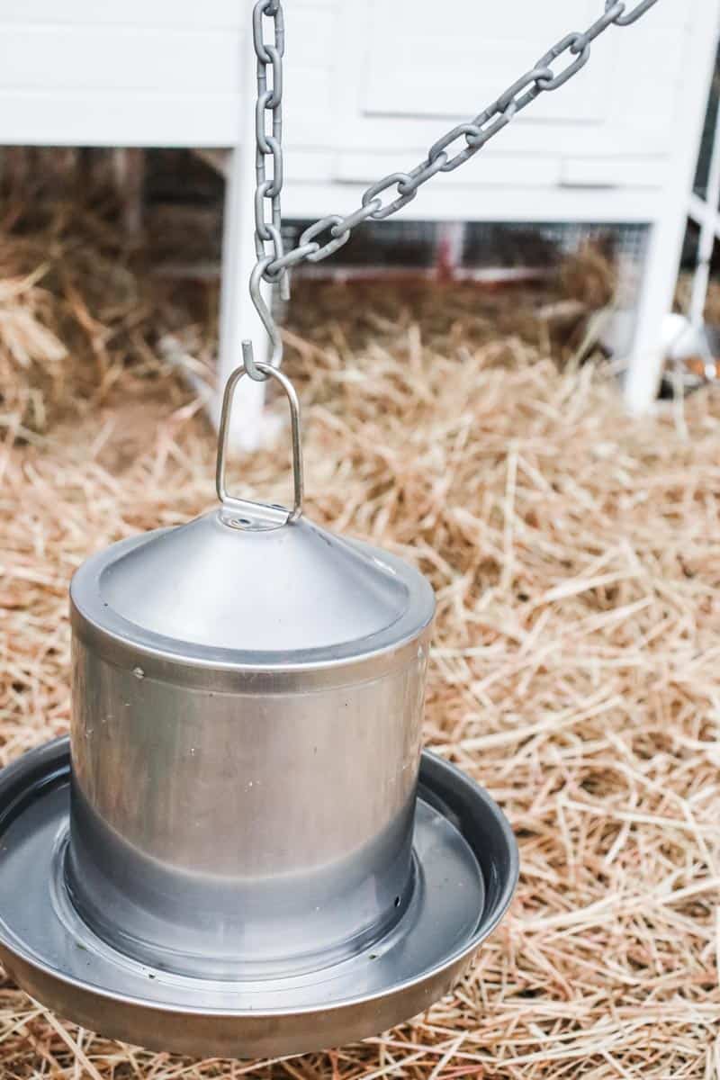 A close up image of the chicken water beer feeder stainless steel poultry drinker hanging on a chain elevated