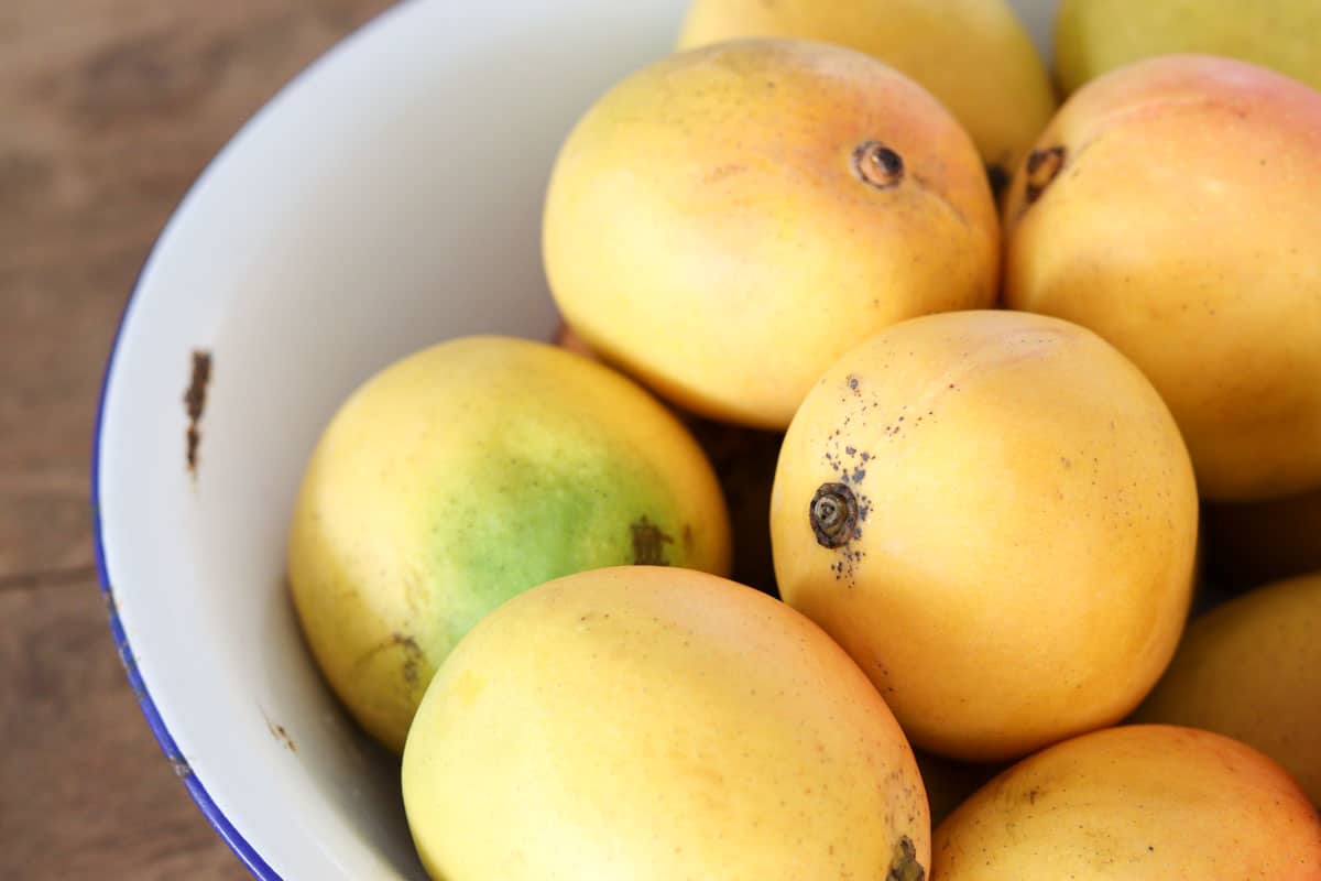A bowl of ripe mangos