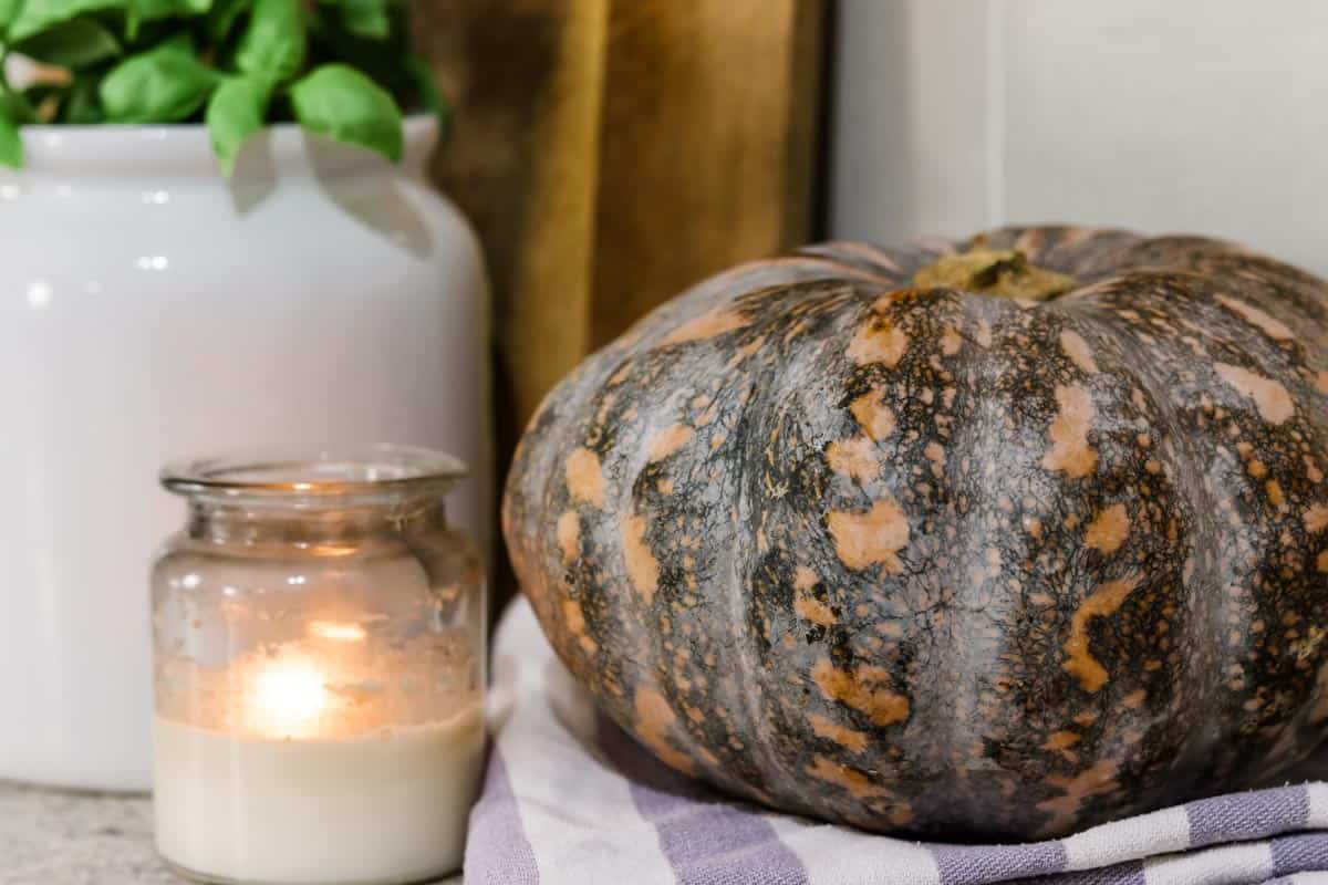 A pumpkin on a tea towel next to herbs and a candle in the kitchen