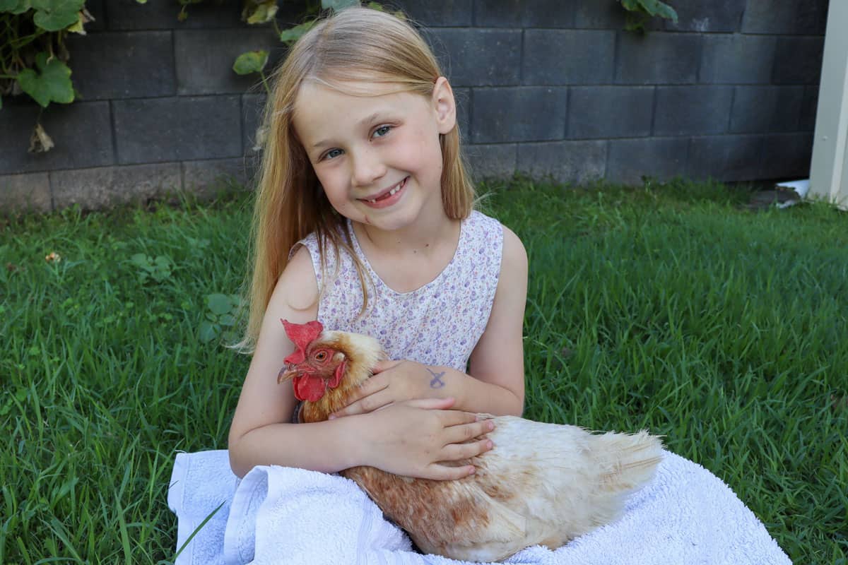 Elsie cuddling a chicken in the backyard