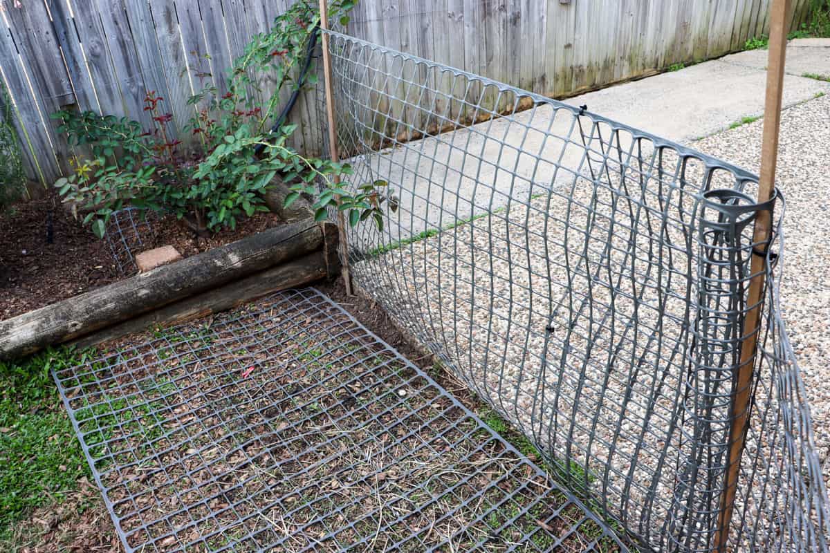 Garden trellis and hardwood stakes used as a temporary chicken fence barrier